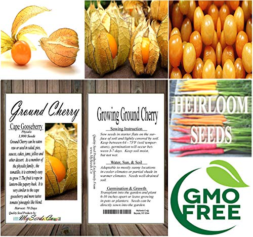 Big Pack - Ground Cherry, Physalis Family, Tomatillo Seeds - Non-Gmo Seeds (Ground Cherry (1,000 Seeds)) #TOP5
