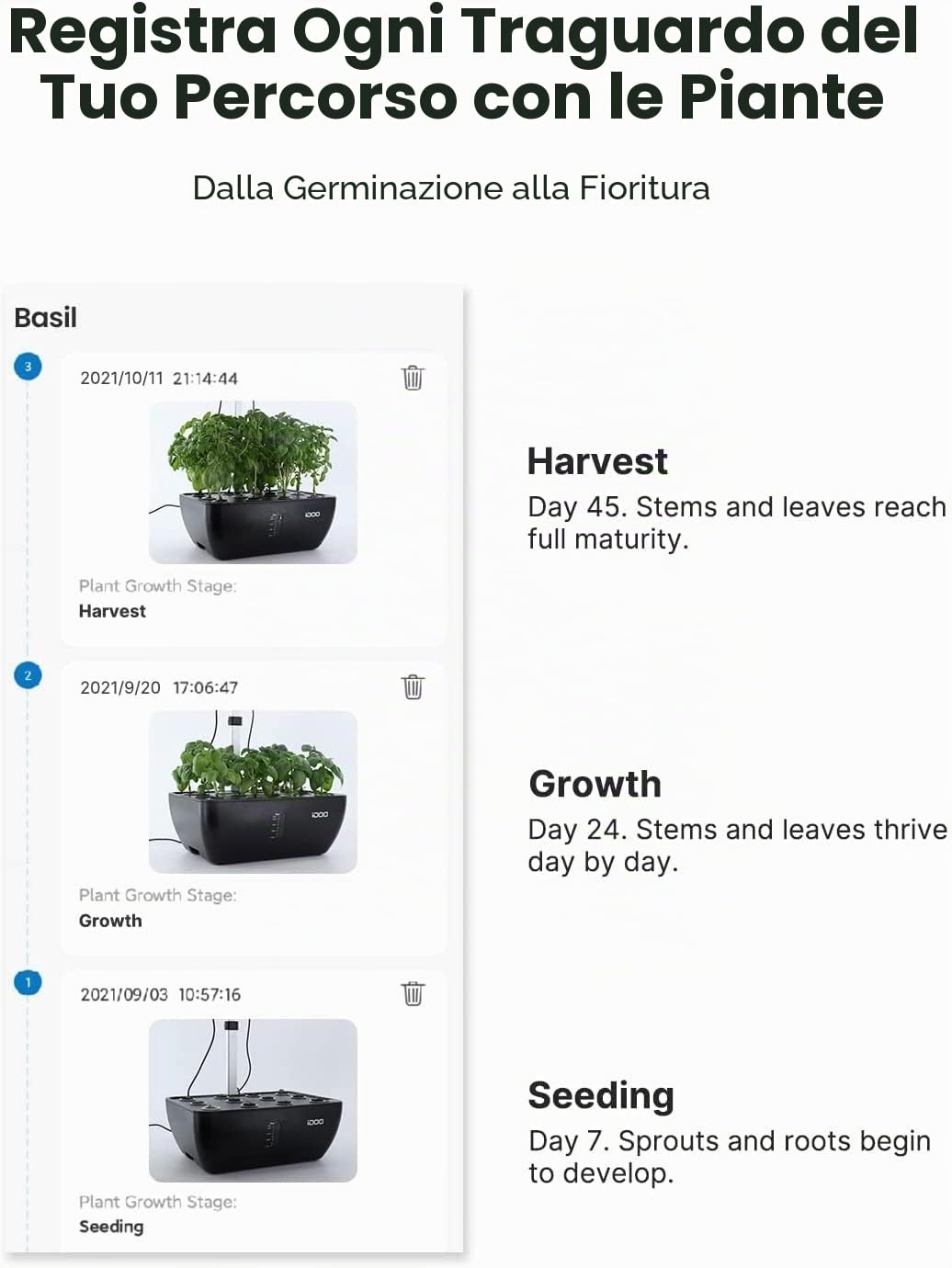 iDOO Giardino Intelligente Wi-Fi con LED Lampada da Coltivazione, 6,5L Sistema di Coltivazione idroponica con Ventola silenziosa, Giardino di Erbe da Interno da 12 baccelli, Altezza Regolabile - 37cm