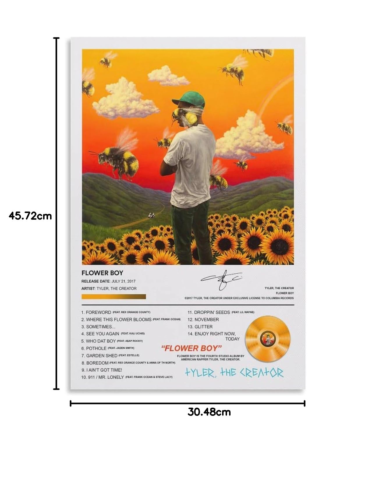 BATWHO Tyler Poster The Creator Poster Flower Boy Album Canvas