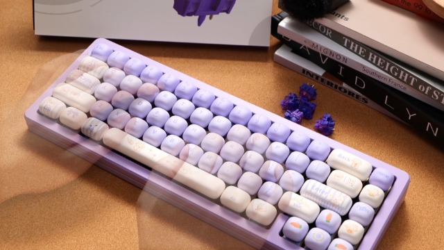 Amazon.com: Akko: Tactile Switch