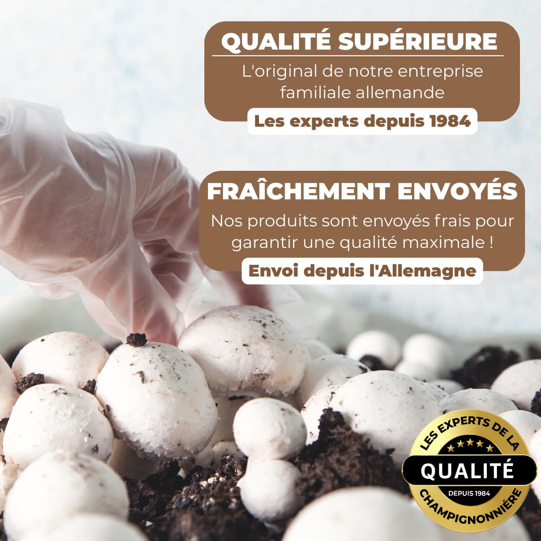 Hawlik Kit de culture de champignons Lions Mane Hericium erinaceus
