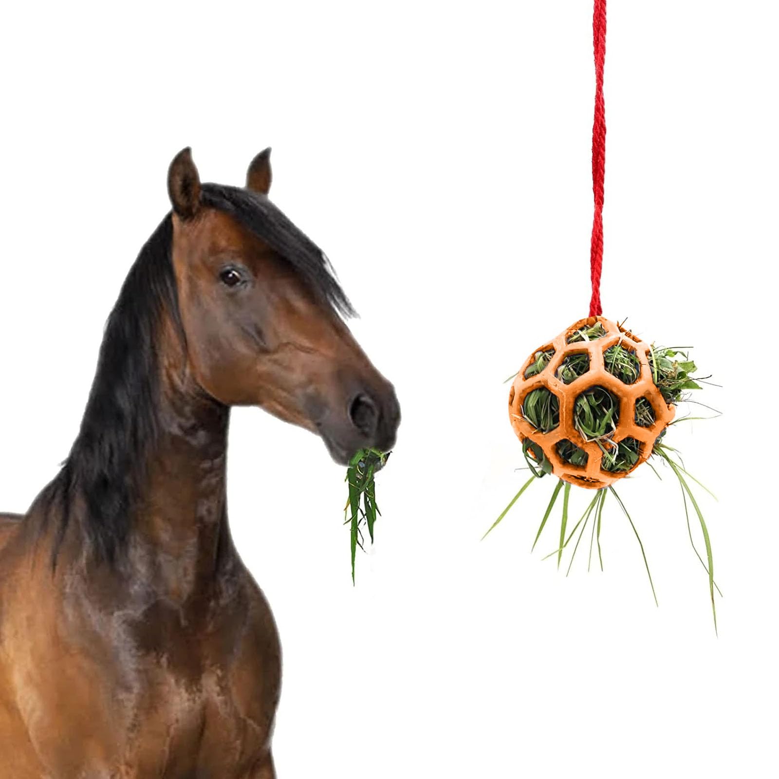 BT Bear Pet Hay Feeder Ball,Horse Treat Ball Hanging Interactive Feeder Toy for Rabbits Goat Pony,Orange