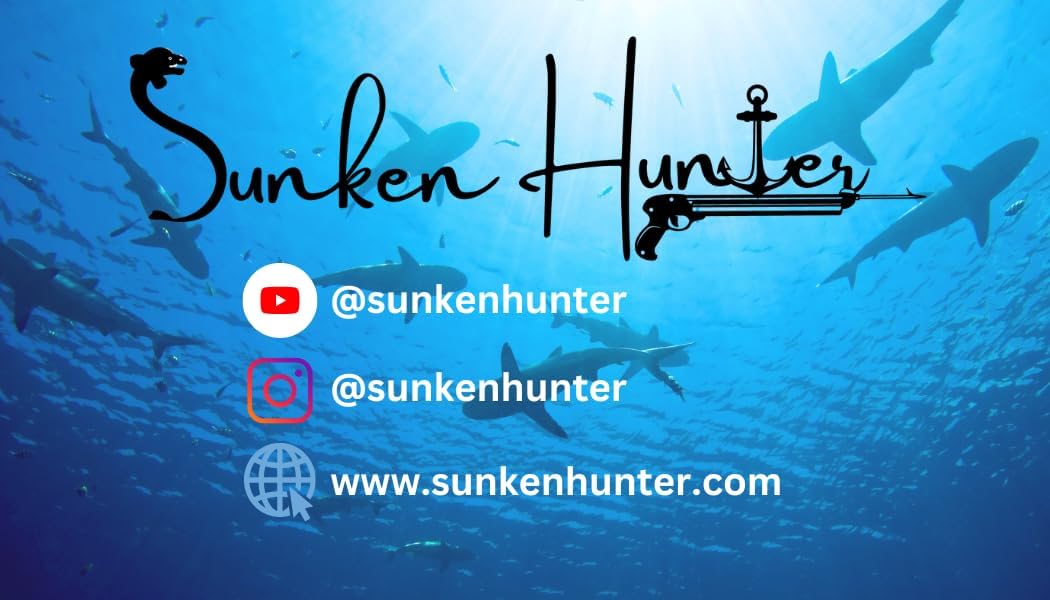 Authentic Shark Teeth Discovery Pack of 7, At Least 2 Different Shark Species with Identification Card for Education, Every Tooth Found by Fossil Hunters in the Southeastern USA
