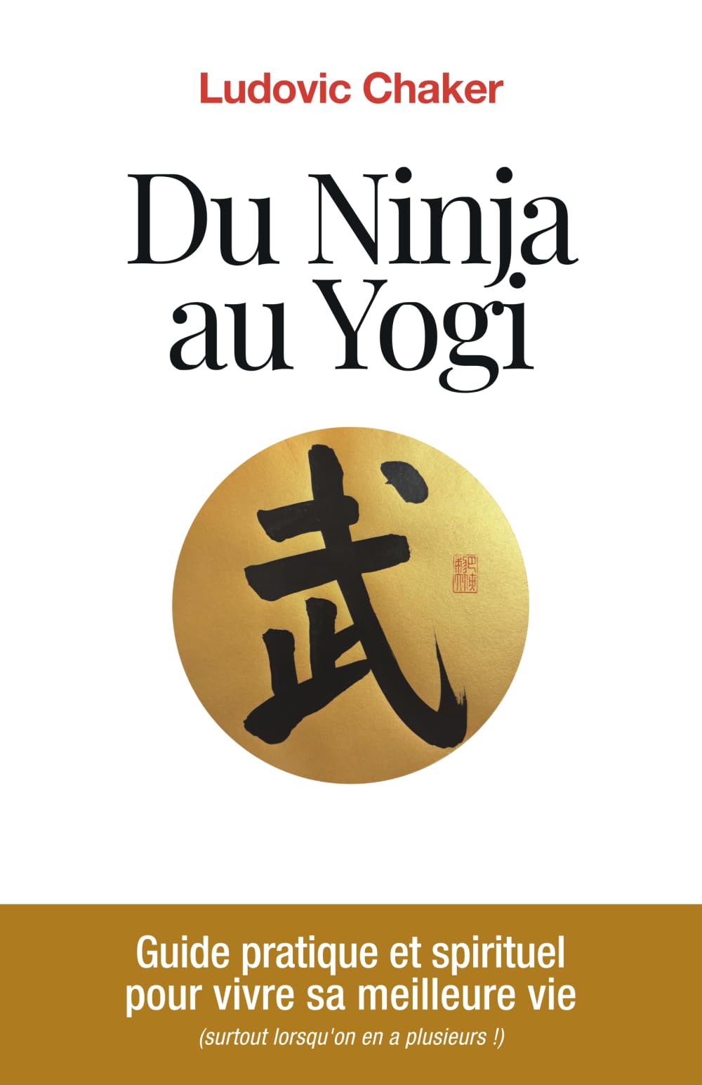 Du Ninja au Yogi: Guide pratique et spirituel pour vivre sa meilleure vie (surtout lorsqu'on en a plusieurs!)