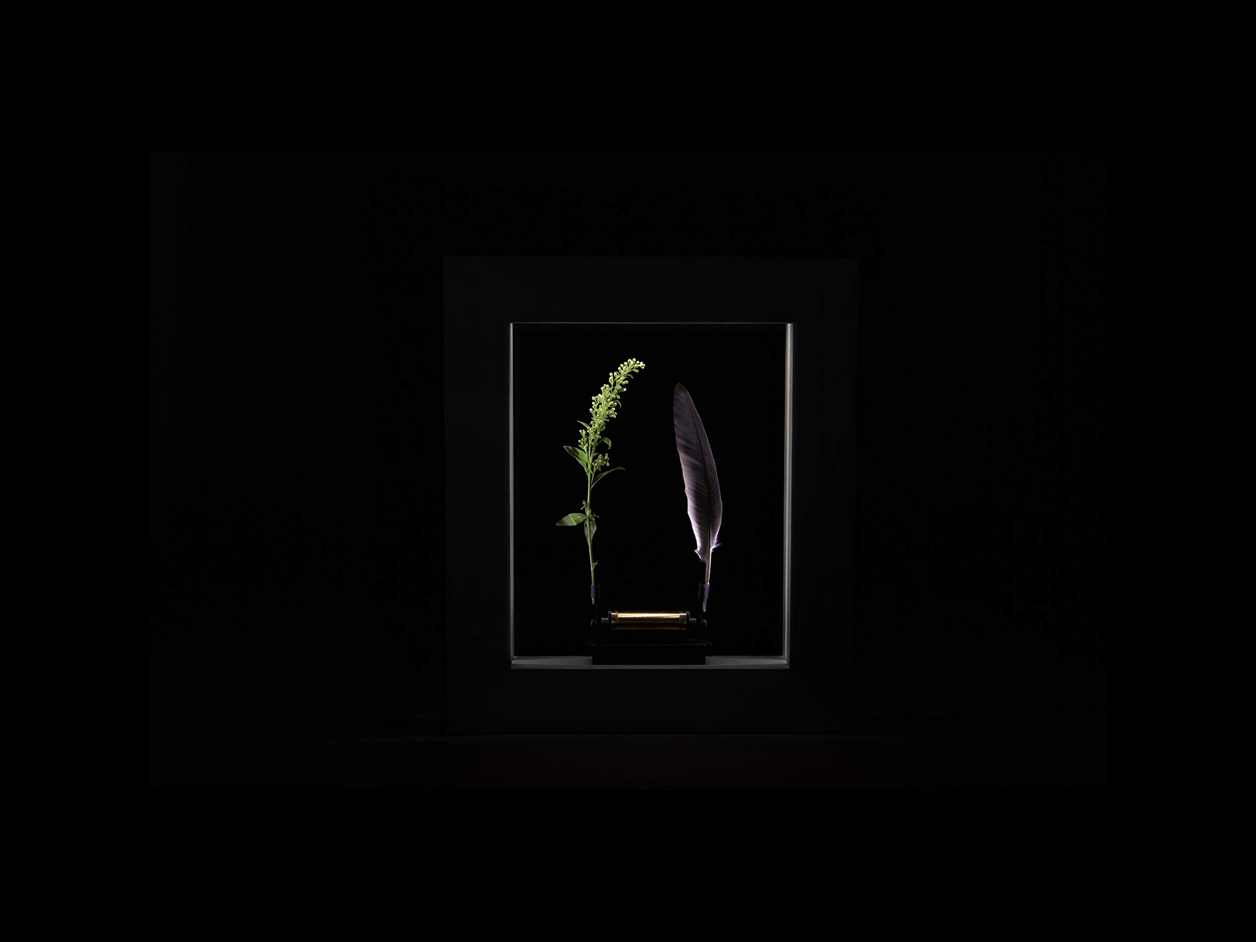 Wonder 18022 Machines Slow Dance Bilderrahmen, Zeitlupeneffekt durch optische Täuschung, Entschleunigung durch Technik, Wissenschaft und Kunst, gebeizte Esche, schwarz, LED, Stoboskop