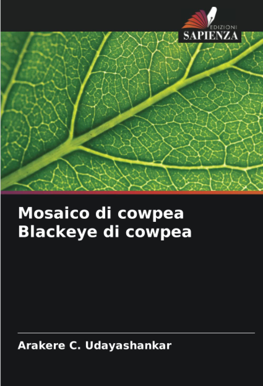 Mosaico di cowpea Blackeye di cowpea