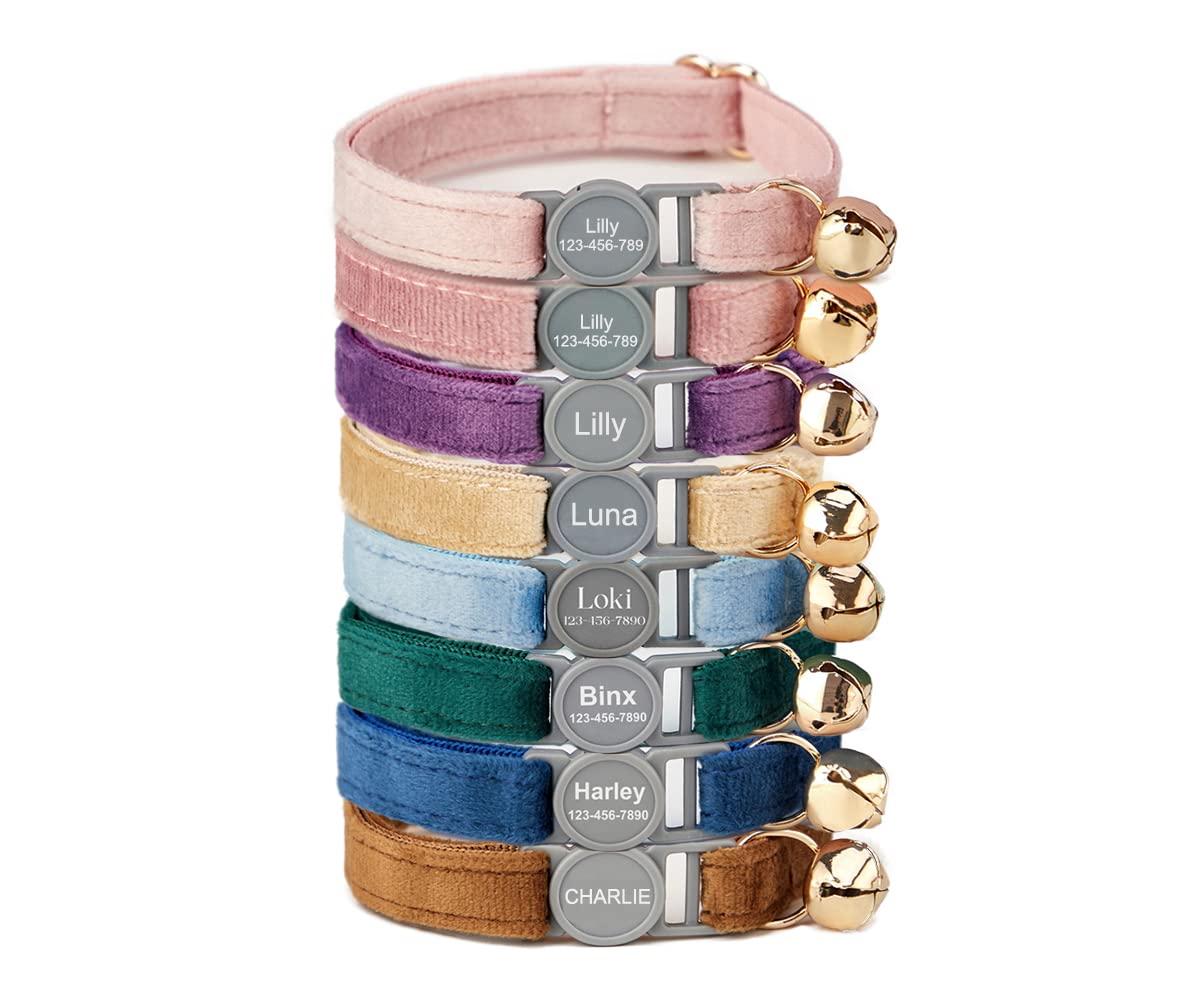 Sponsored Ad - Personalized Breakaway Cat Collar with Safety Buckle - Customizable Name and Phone Number