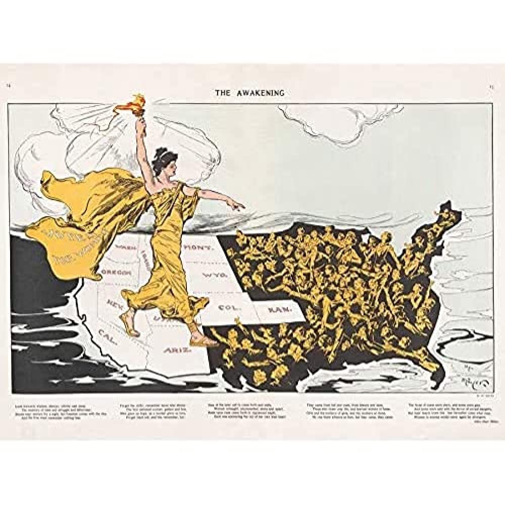Mayer Awakening Votes Women Liberty Map Art Print Canvas Premium Wall Decor Poster Mural