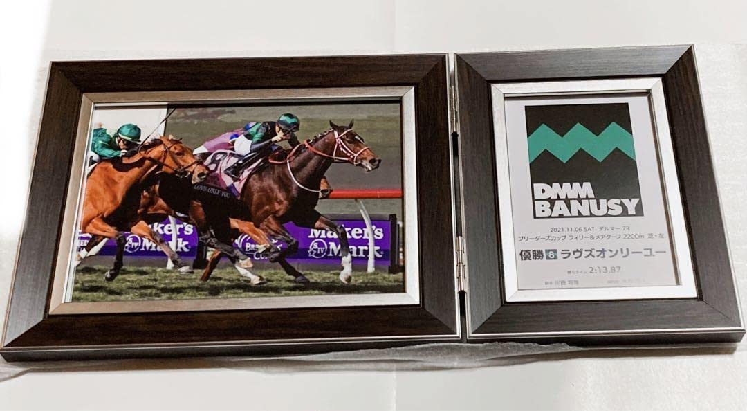 Amazon.co.jp: 競馬 ラヴズオンリーユー BC 優勝記念写真パネル XLEFT 