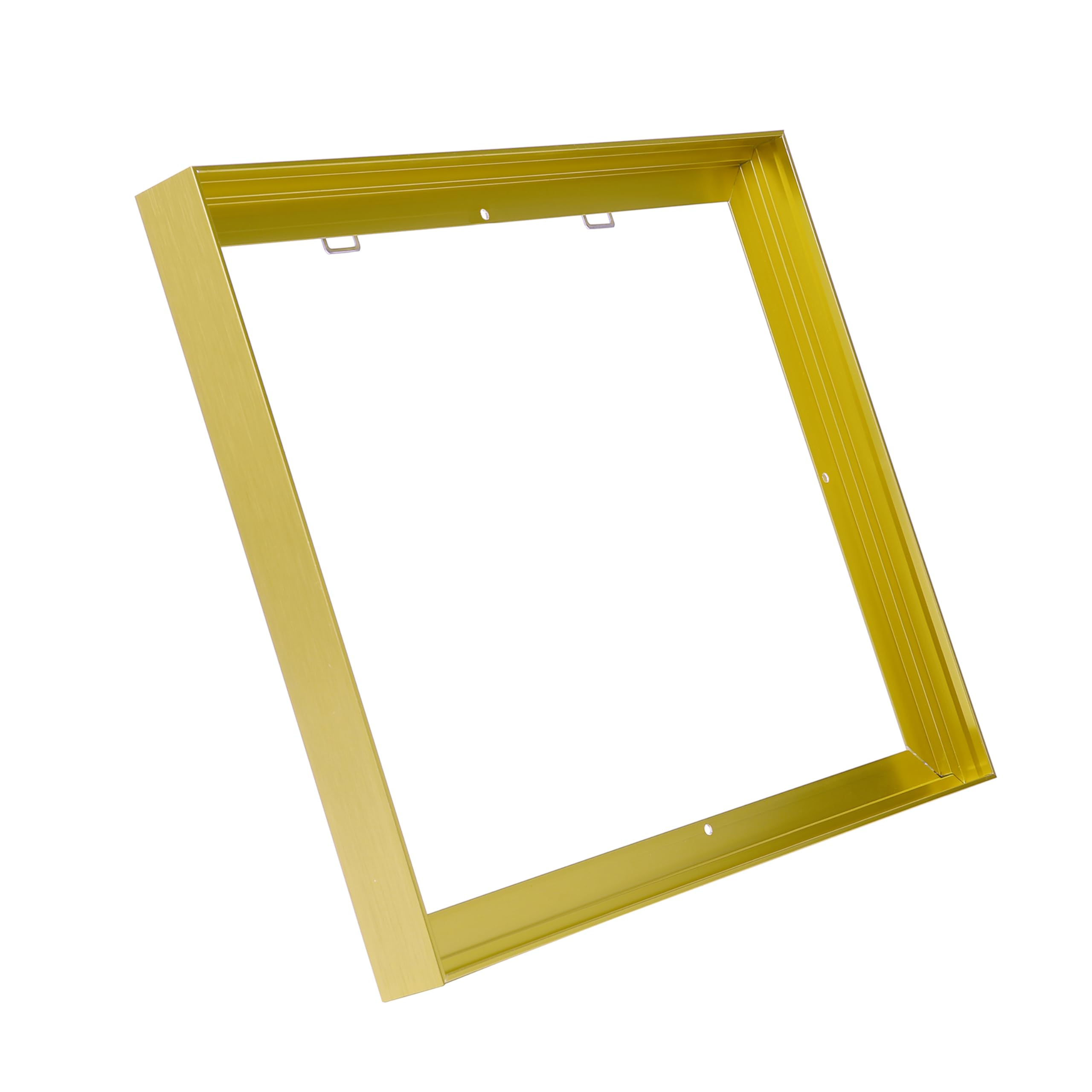 CANFRAVAS 16x20 Canvas Frame, Floating Frame 0.9"Deep(16x20,Light Gold)