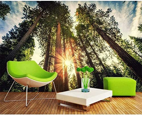 Papier peint panoramique forêt 3D haut de gamme pour hall d'hôtel
