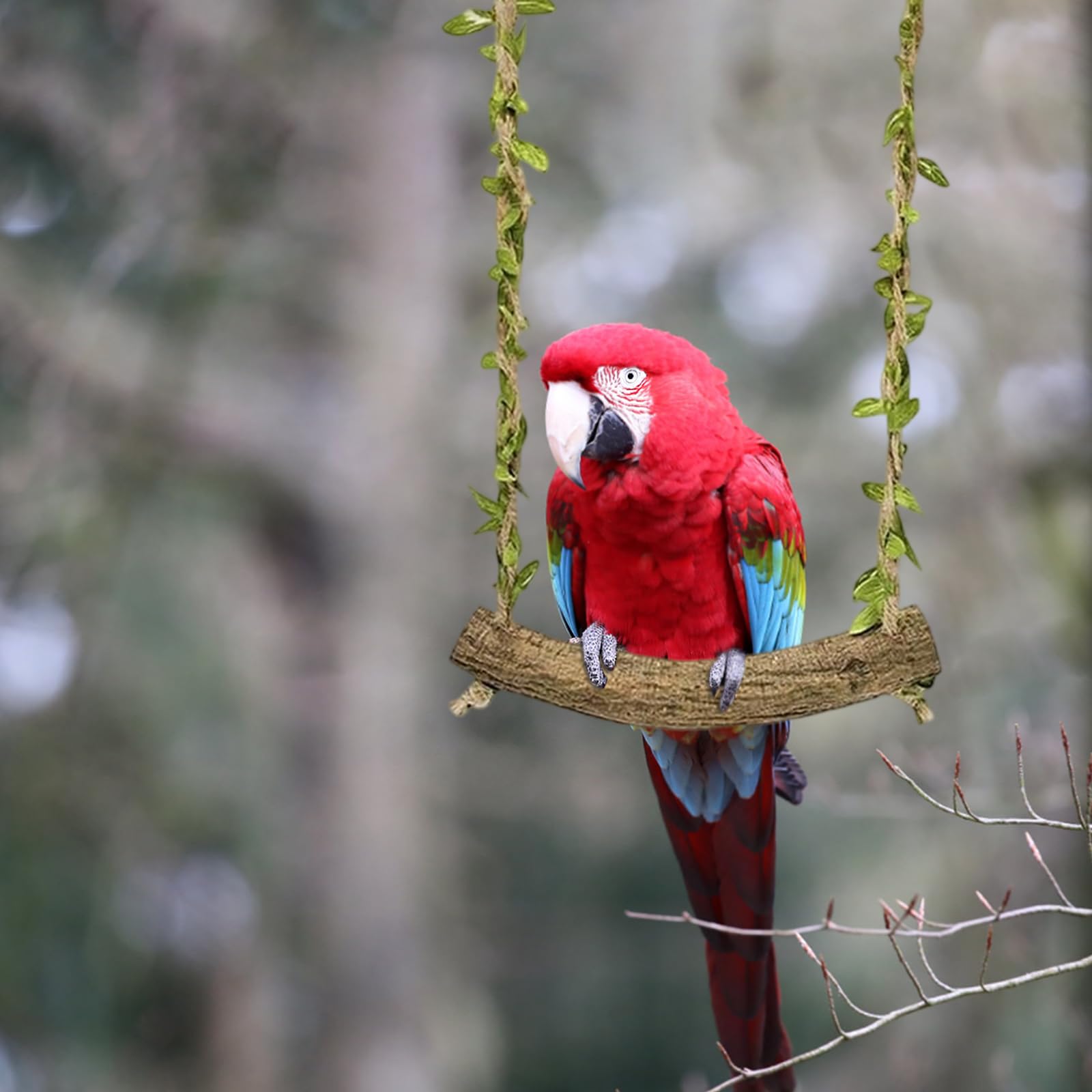 2 Pièces Perchoir Perroquet - BalançOire pour Oiseaux - Jouet Perruche - Accessoires pour Cage à Oiseaux, AdaptéS à Tous LesOiseaux de Petite et Moyenne Taille