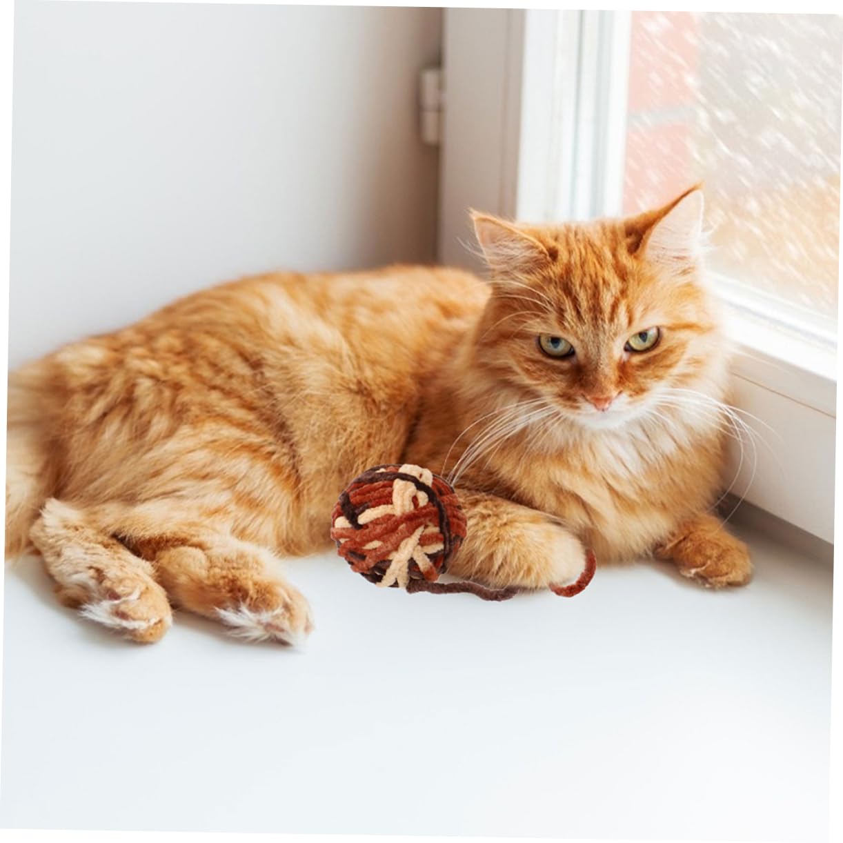 FOMIYES Lot de 2 Jouets à Mâcher Interactifs pour Chat Stimulant Linstinct de Chasse 5 Pièces