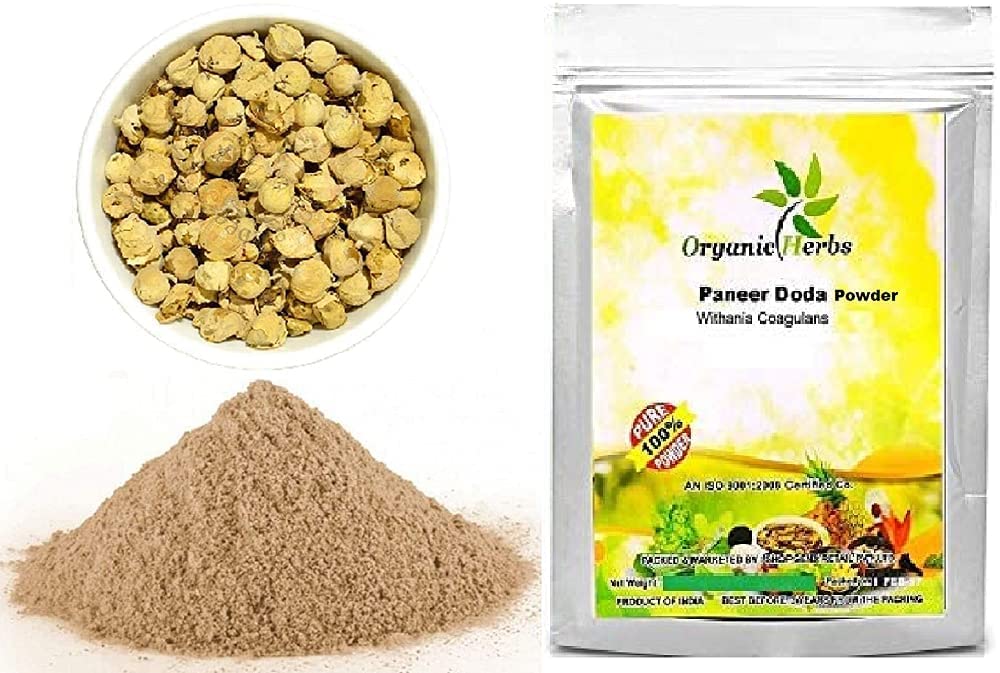 Buy s al Indian Paneer Doda Powder Paneer ka Phool Withania Coagulans (100gm