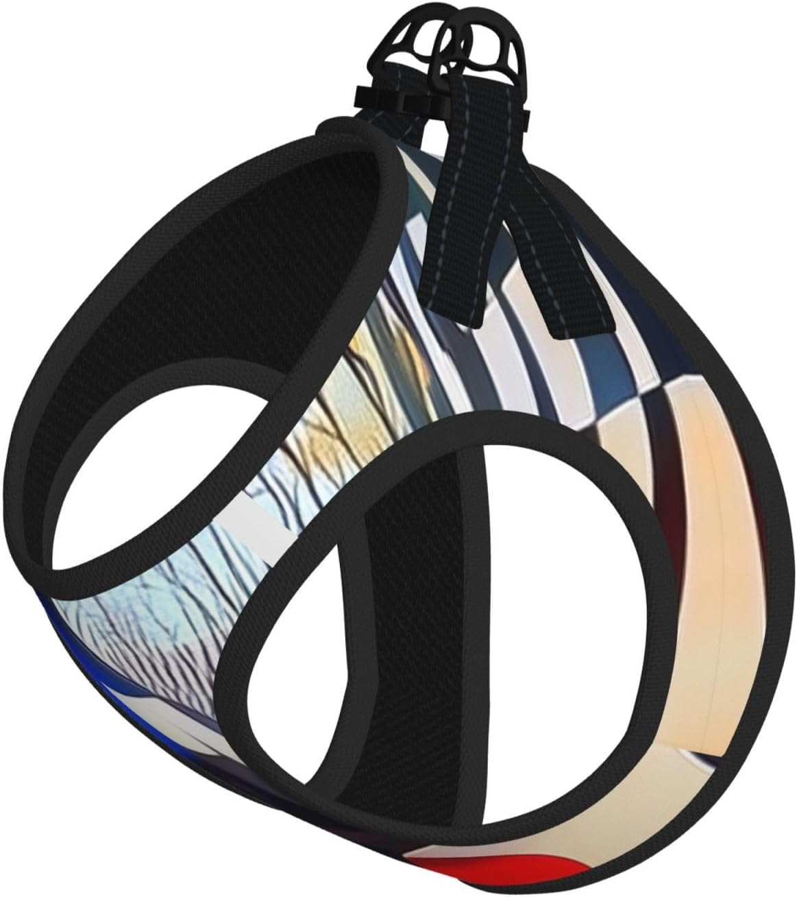 The Bird of surrealism Pet Vest Small Size Dog Harness and Leash Set for Training, Reflective & Adjustable Without Accessories Small