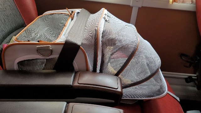 Airline Approved Pet Carrier Backpack Under seat, Soft Unique Dog Purse Travel Carriers Backpacks for Hiking Camping Outdoor, Tote Front Expandable Bag for Small Puppy Dogs in Airplane Car - image 8