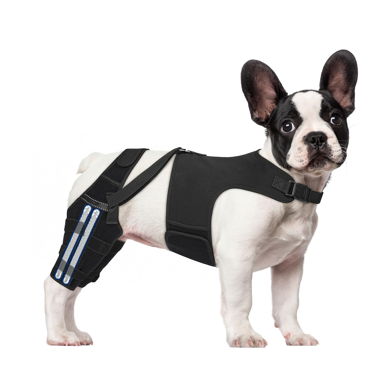 GoGoPaw Dog Knee Brace (Triangle)
