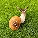 Acxico 5Pcs Cute Small Snail Lifelike Fairy Garden Terrarium Decor Figurine Animal Toys