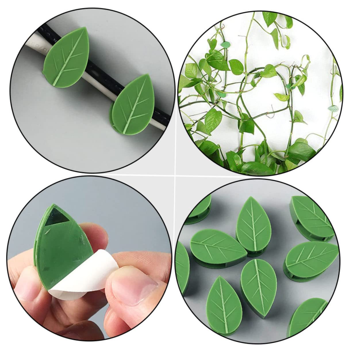 VANZACK 2 Sätze Grünpflanzenclip Garten Indoor Rankenpflanze Kletterwandclips Zimmerpflanzen Pflanzenklebeclip Pflanzenwand Kletterhaken Pflanzenclip Zum Klettern 60 Stück * 2