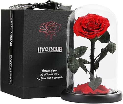 Livoccur Rosa roja Forever y rosa preservada en cúpula de cristal, hecha de flores reales preservadas, rosa de la Bella y la Bestia, rosas rojas