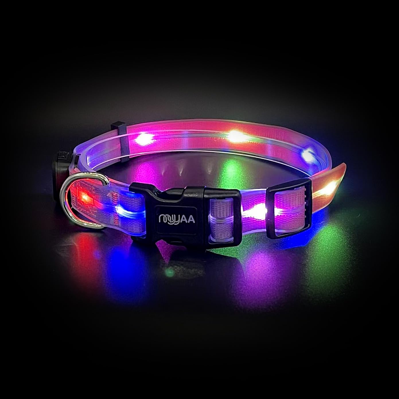 myyAA Light Up Dog Collar in Purple and Pink