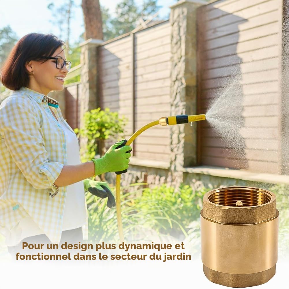 Clapet anti-retour en laiton de 2" avec filetage intérieur DN50 universel avec filetage intérieur des deux côtés, clapet anti-retour vertical en laiton de 2 pouces, clapet anti-retour d'eau