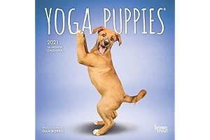 Yoga Puppies 2021 Calendar