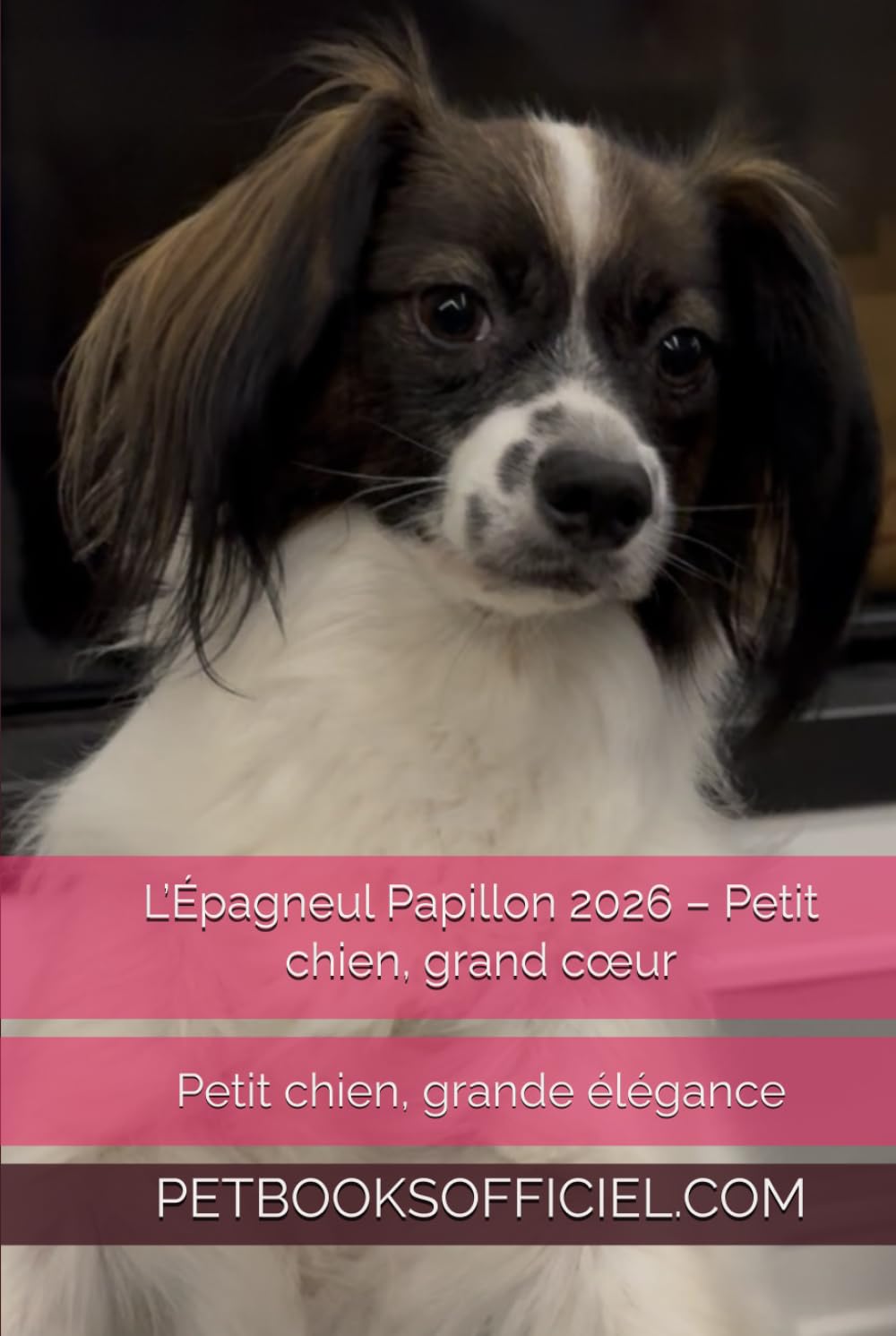 L’Épagneul Papillon 2026 – Petit chien, grand cœur: Petit chien, grande élégance (Les guides canins 2026 – Collection)