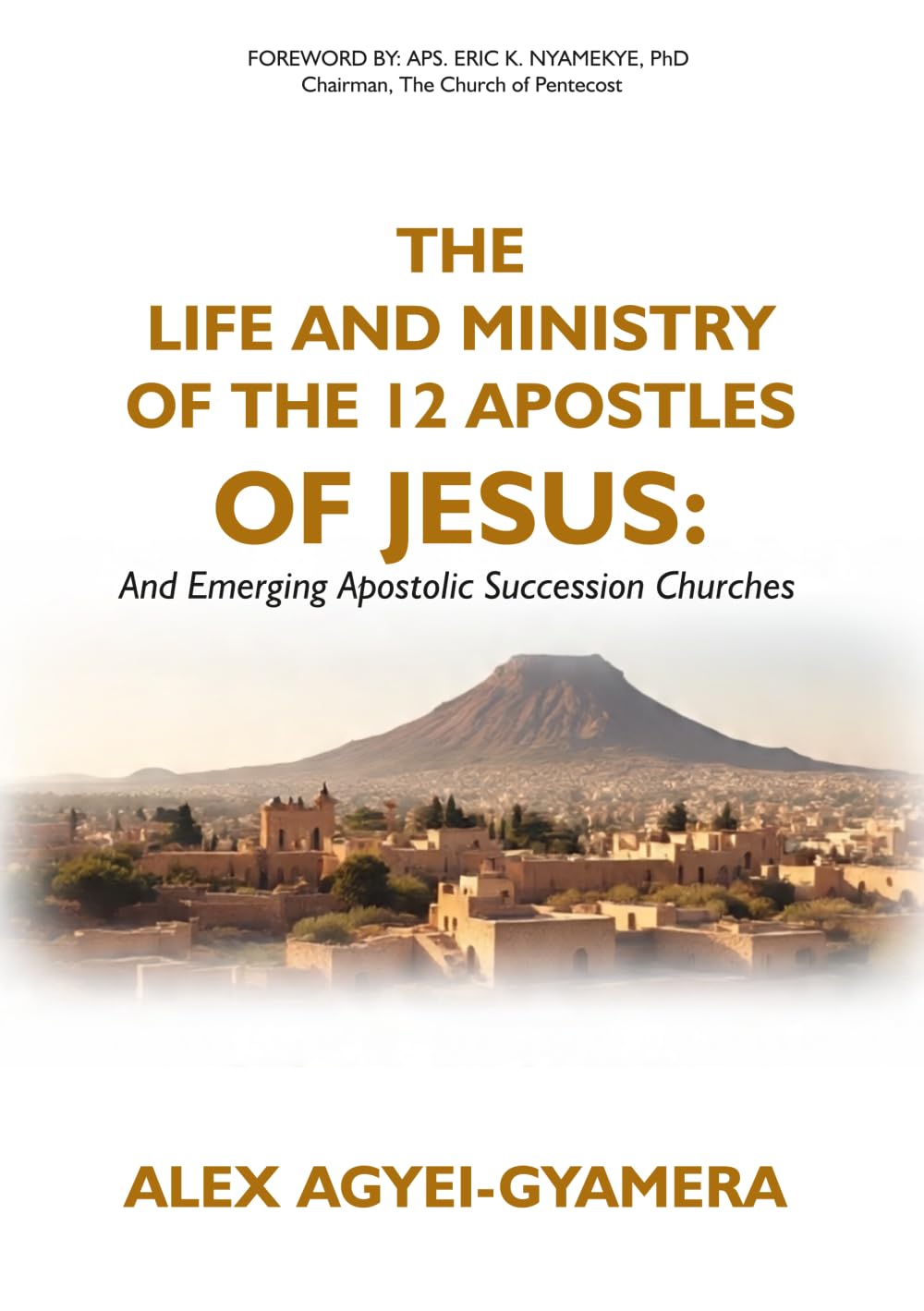 The Life and Ministry of the Twelve Apostles of Jesus: And Emerging Apostolic Succession Churches