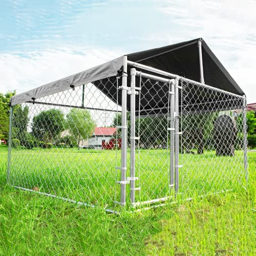 5 Best Outdoor Dog Kennels for German Shepherds