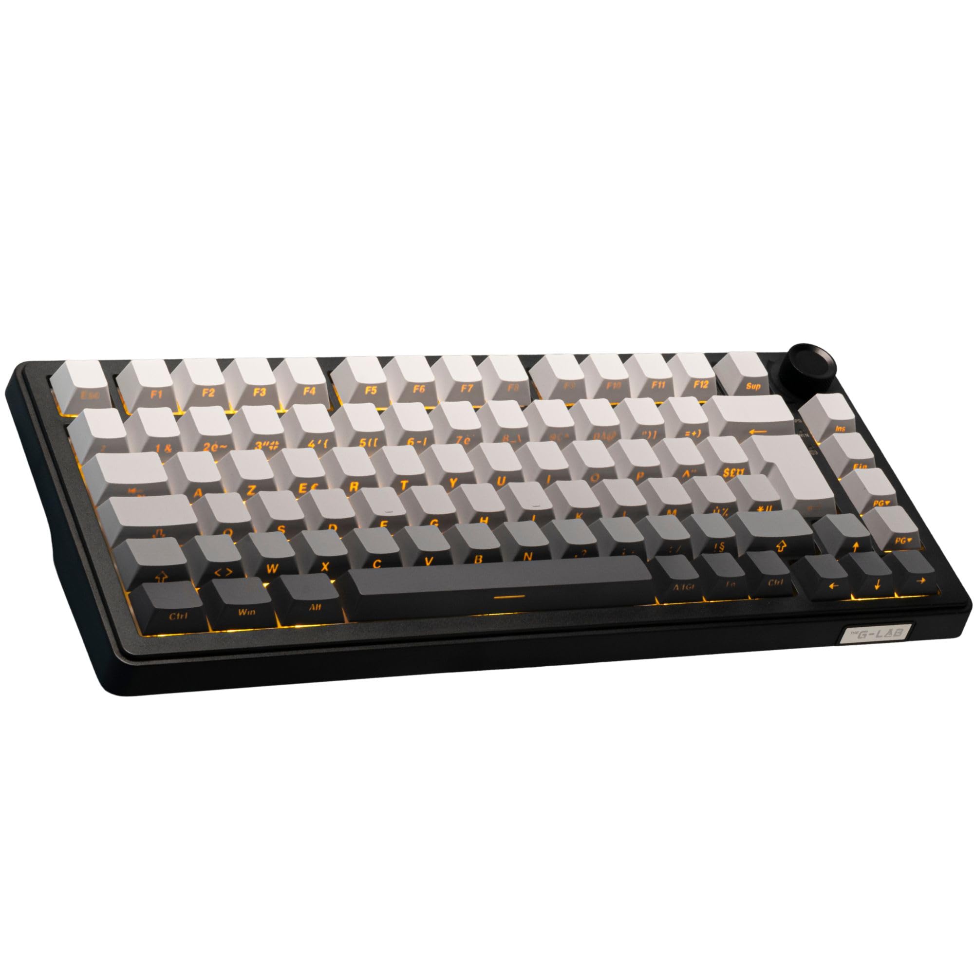 The G-​Lab KEYZ Elite 300 GRG - Clavier Gamer sans Fil TKL Tri Mode 2.4 Ghz/​Bluetooth/​Filaire - Clavier Mécanique Hot Swap, Switchs Pré-​lubrifiés, Gravur Latéral, RGB+​Macro - AZERTY FR - Windows/​Mac