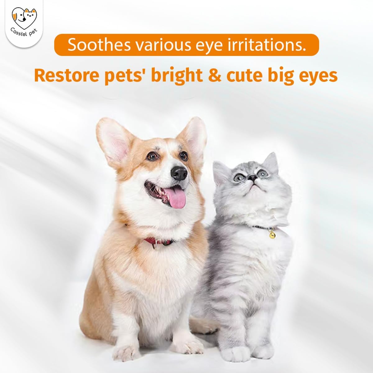 Eye Drops for Eye Infection Treatment, Soothe Infection Allergy, Relieve Dry Eyes & Red Eye，Eye Cleaner and Tear Stain Remover for Dogs and Cats | 10 ml 0.33 FL OZ (1 Bottle) - Image 7
