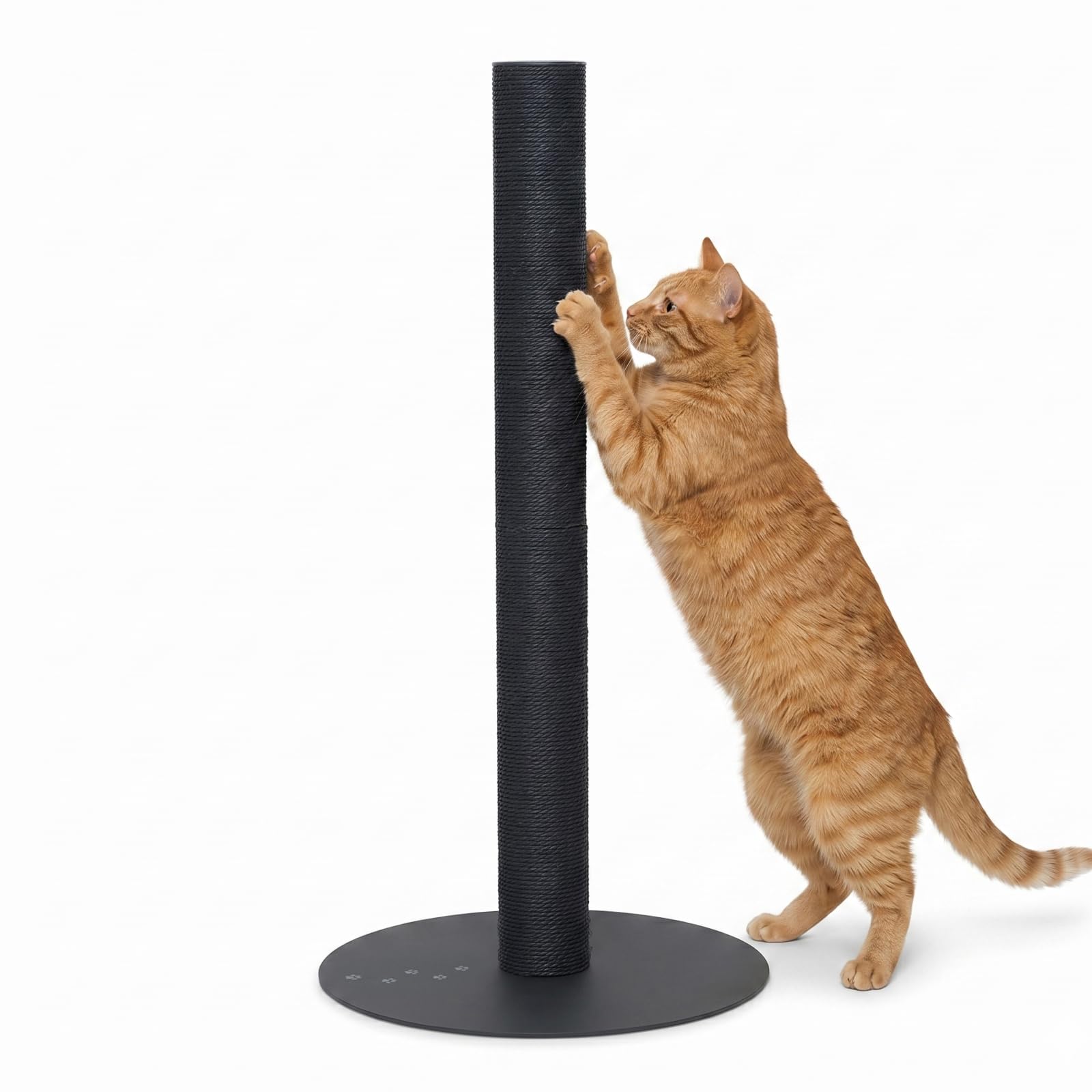 猫壱 バリバリつめとぎポール ラージ 紙縄 アイアン ブラック 爪研ぎ Amazon.co.jp: 猫壱 バリバリつめとぎポール ラージ 紙縄 アイアン