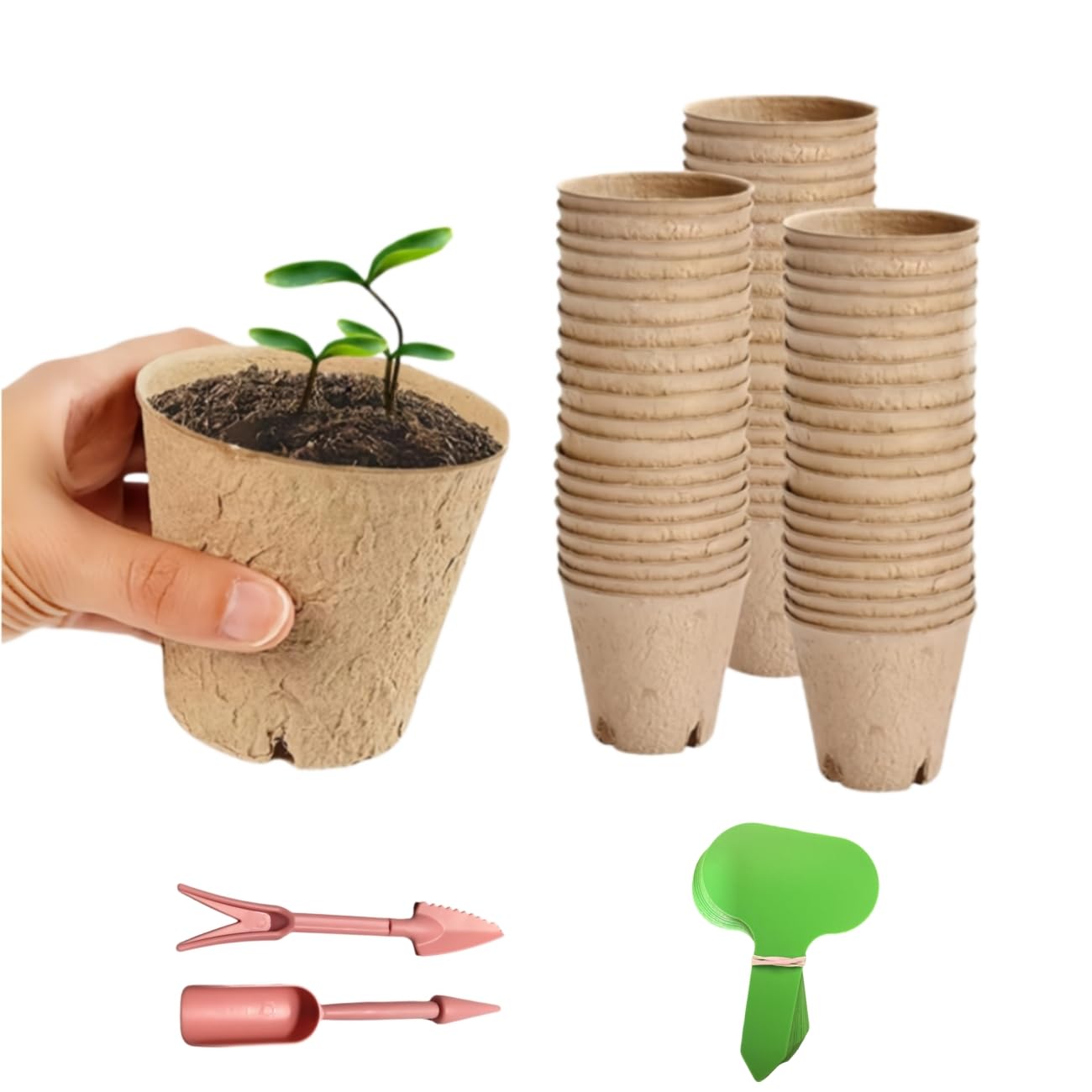 Amazon.co.jp: 育苗ポット 8CM 苗ポット 種まきポット 育苗トレー 分解