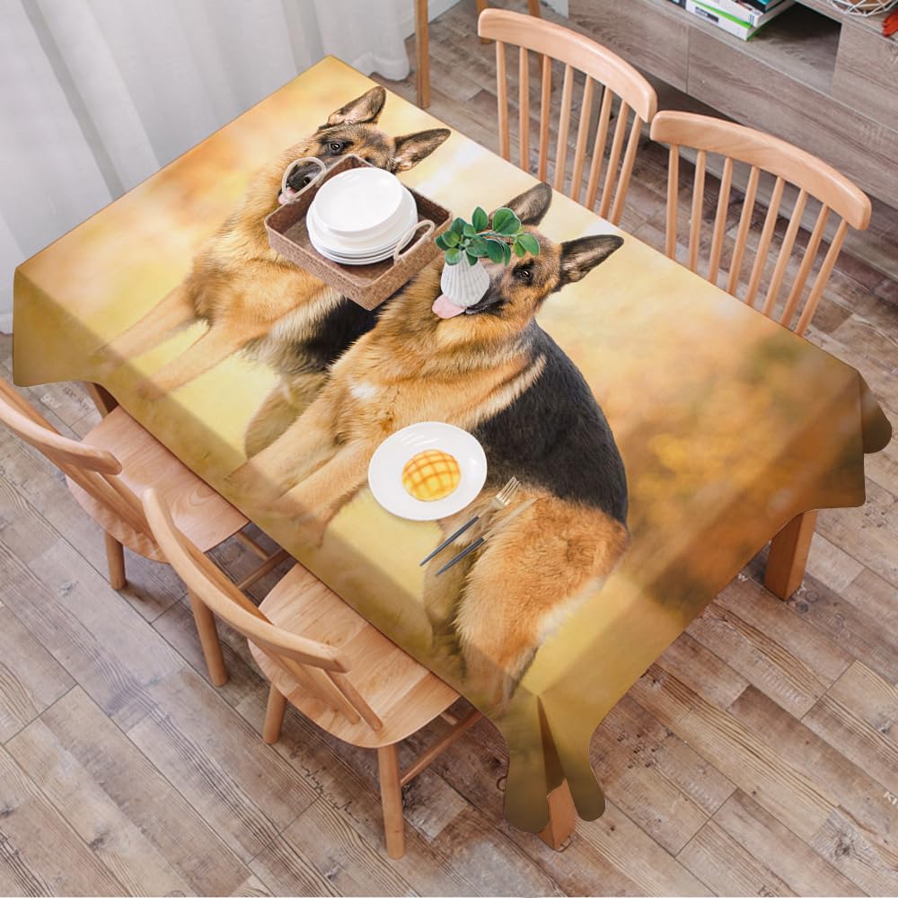 DALEXHM Table Cloth Wipe Clean Rectangular, wipeable tablecloths,Dining Table Cover for Kitchen Outdoor Garden Table,Animals, two majestic German shepherds standing in the sun,54x72 in