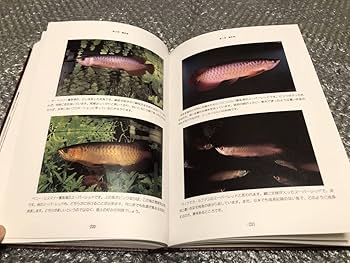 アジアアロワナ【熱帯雨林の神秘】 Amazon.co.jp: 書籍アジアアロワナ 熱帯雨林の神秘熱帯魚 辣
