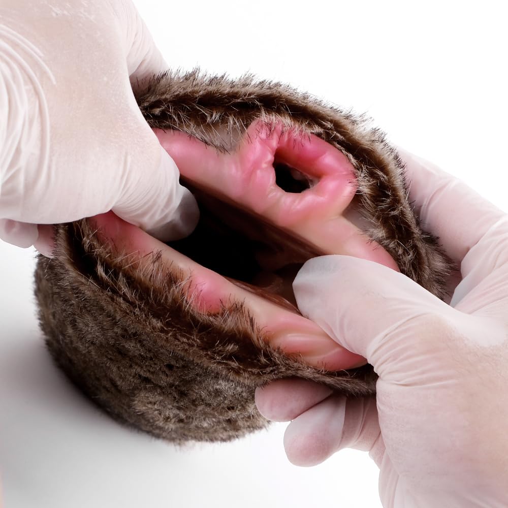 Amazon.com: Jesakmie 6.3in Animal Beast Male Masterburters, Lion Shaped  Pocket Pussy Sucking Toy Silicone Plush Adult Masterbaters Sex Toys,  Realistic 3D Vagina Anal Textured Male Men Stroker : Health & Household