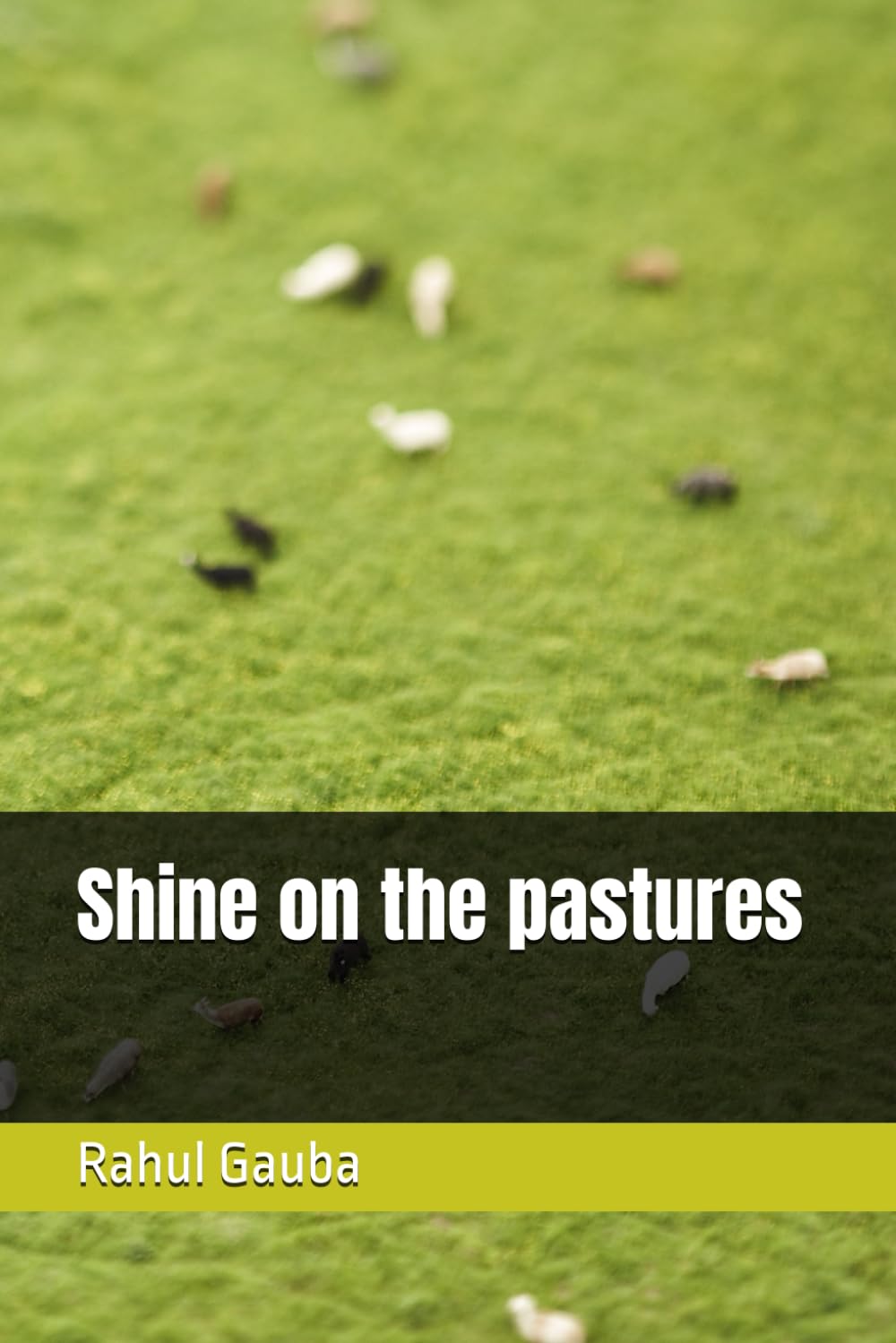 Shine on the pastures