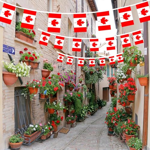Image of AhfuLife 33 Ft Canada Small Flags Banner for World Cup Decoration 2026, 30 Pcs Mini Canadian Bunting String Flags - Double Sided for National Day Sports Garden Party Celebration Decor (5.5x8.3 Inch)
