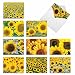 Beautiful Sunflower Blank Note Cards 10 Pack - 4 x 5.12 inch All Occasion 'sunny Side Up' Flower Greeting Cards - Boxed, Bulk Set of Assorted Writing Notecards - Floral Art w/ Envelopes - M6042sl