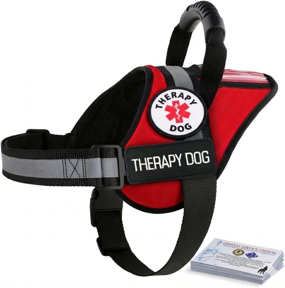Service Dog Therapy Dog ESA Support Animal Harness - No Pull Reflective Vest - ID Pocket Handle - Waterproof Adjustable Mesh - Includes 10 Info Cards