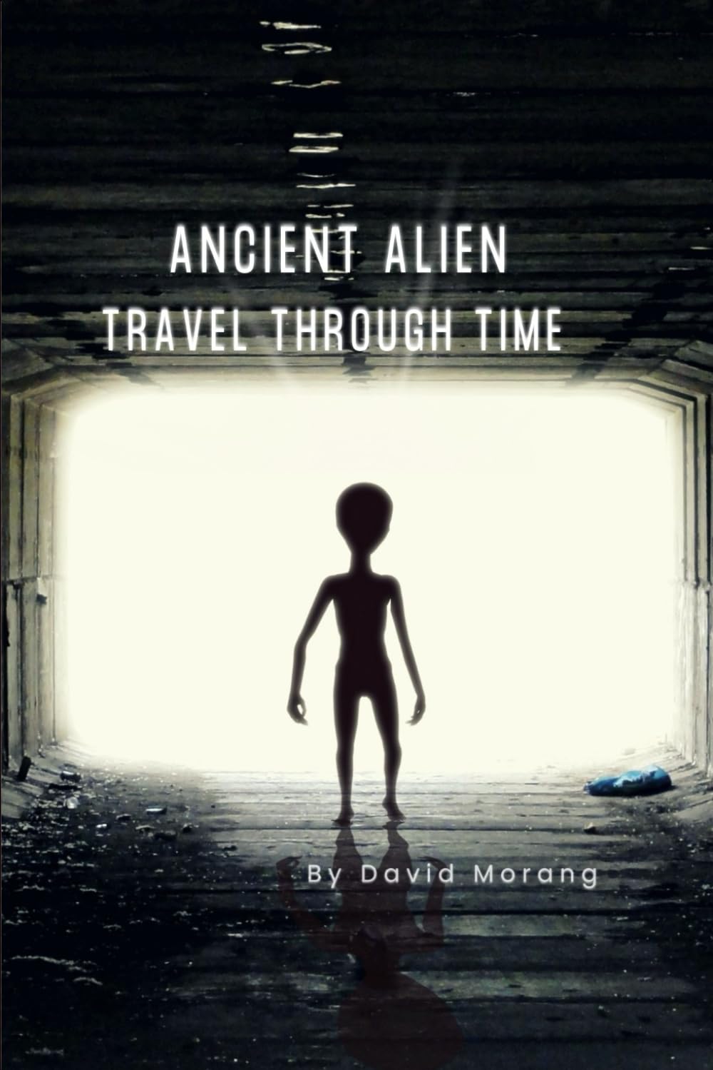 Ancient Alien Travel Through Time