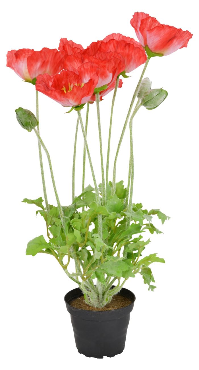 Props4shows Artificial Red Potted Poppy Plant