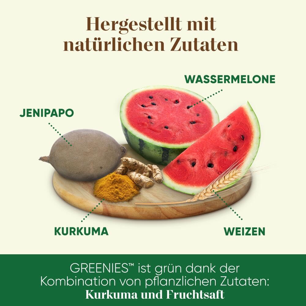 Greenies 100% natürlicher Snack für kleine Hunde, 6 x 340 g