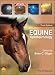 Equine Ophthalmology
