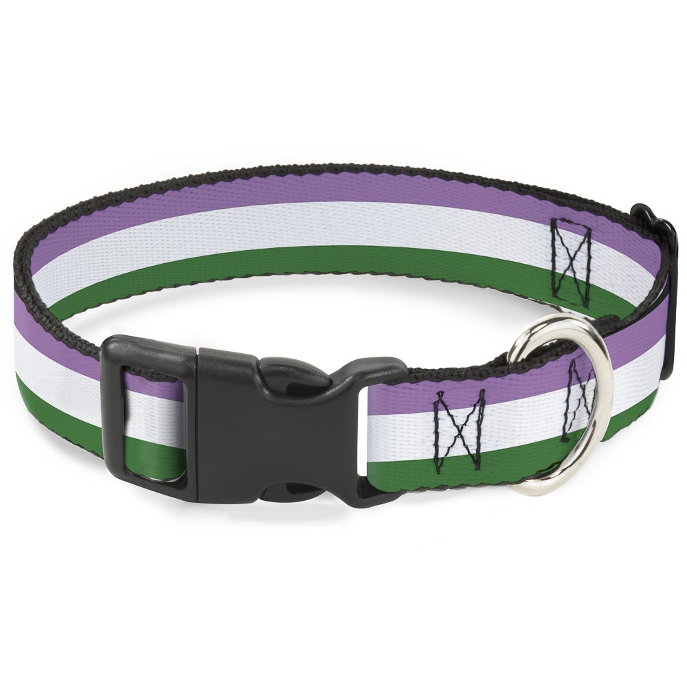 Collier Pride Buckle Down en plastique pour grand chien