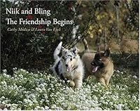 Niik and Bling The Friendship Begins 0976246600 Book Cover