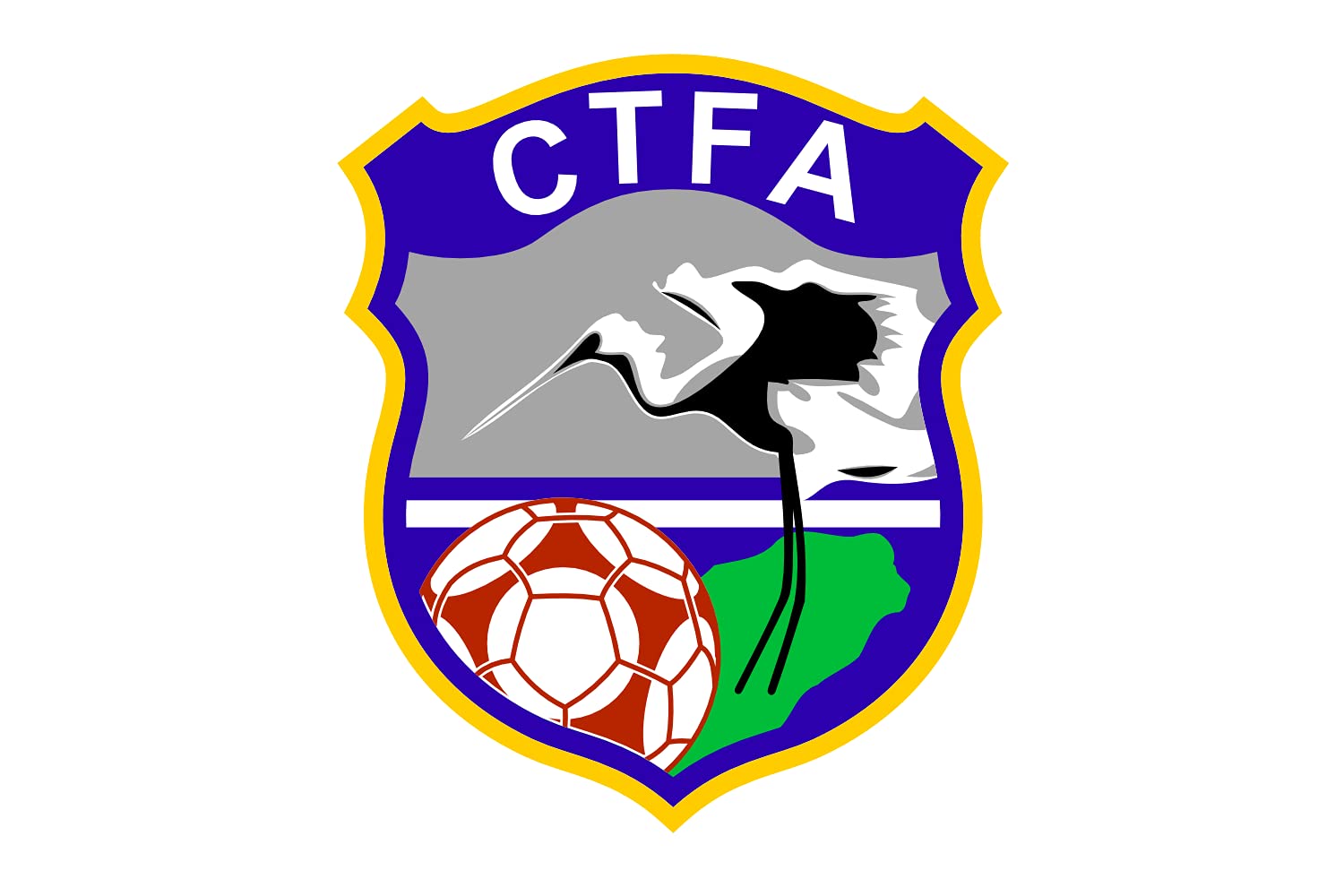 Drapeau Chinese Taipei Football Association pour remplacer votre bannière de club usagée