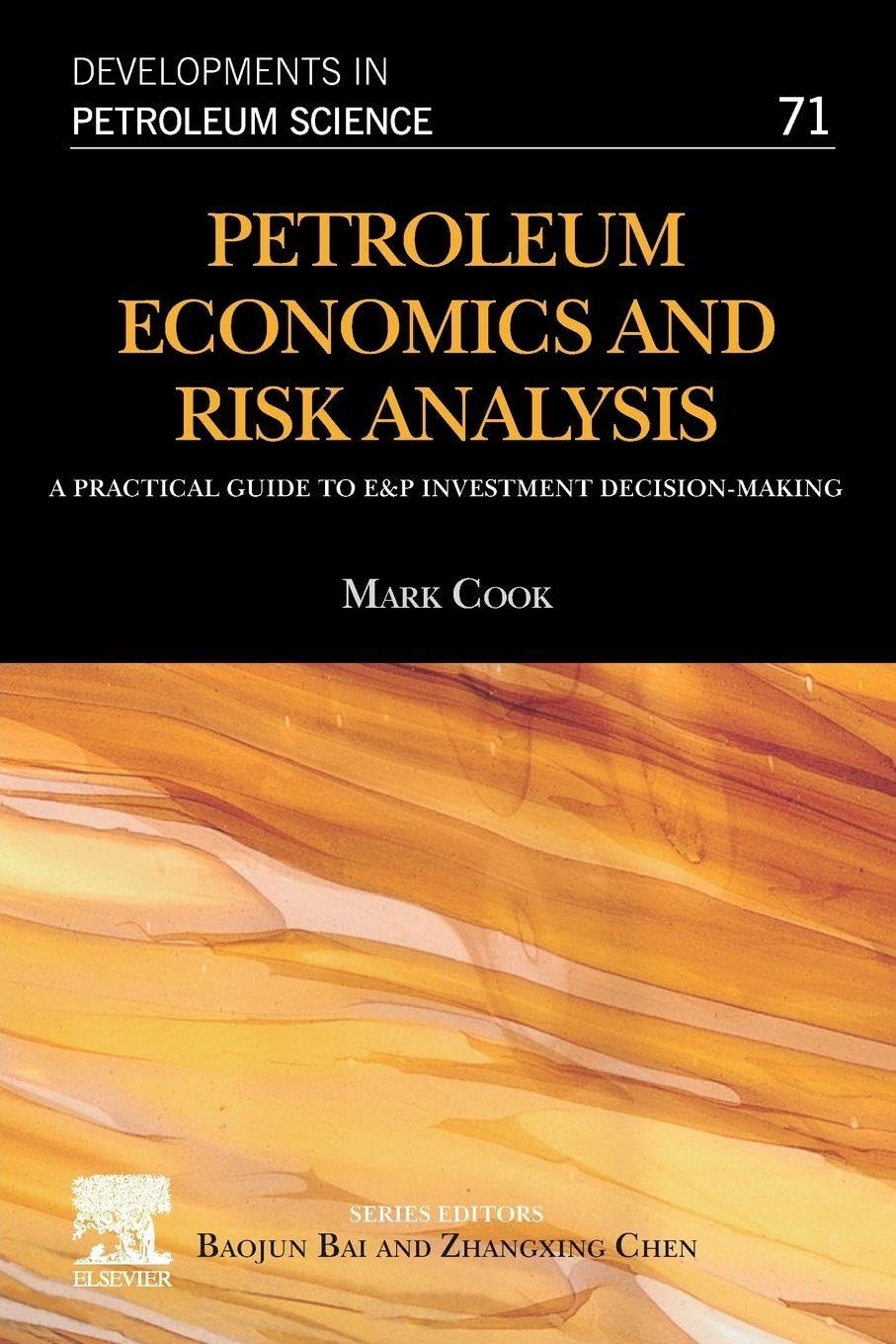 Petroleum Economics and Risk Analysis: A Practical Guide to E&P Investment Decision-Making: Volume 71 (Developments in Petroleum Science, Volume 71)