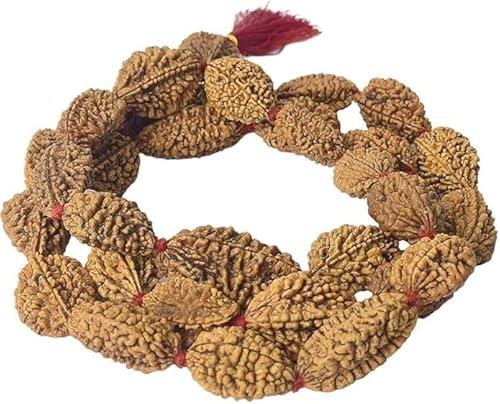 SATVIK 2 Mukhi Kantha Rudraksha Mala | 14.7mm Beads | Rudraksha Necklace for Meditation & Spiritual Wear l OSOC™ Certified